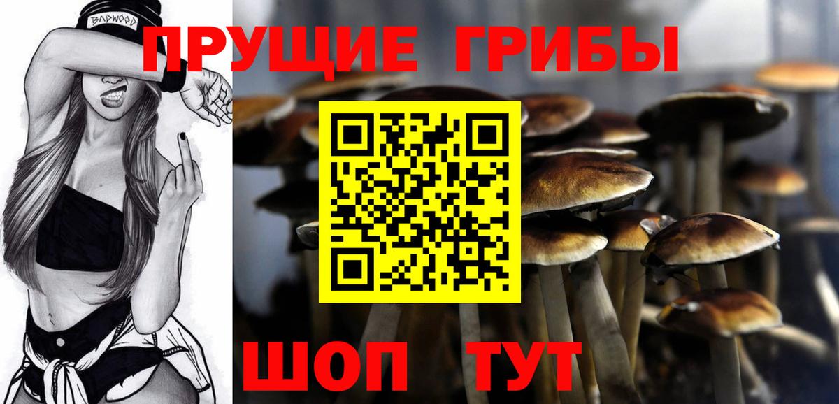 Псилоцибиновые грибы ЛСД  Вход с VPN  Москва 